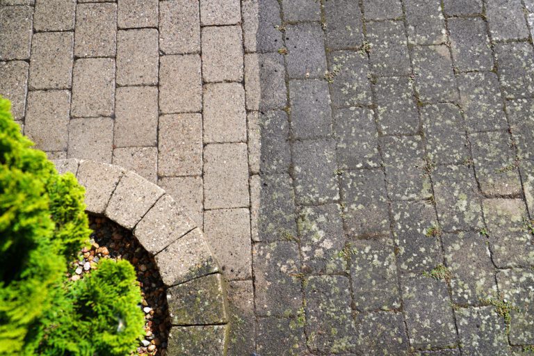 Terrassenreinigung, Grabsteinpflege, Gehwegreinigung, Steinreinigung, Fassadenreinigung, Gartenpflege, Graffitientfernung, Steinversiegelung in Lübeck und mehr